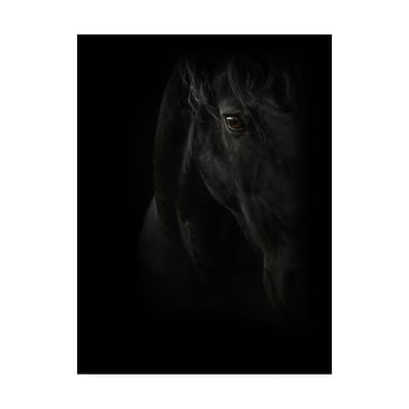 PhotoINC Studio 'Black Pearl' Canvas Art,24x32
